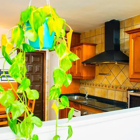 Casa Tigot (adults Only) בית נופש פוארטו דל כרמן